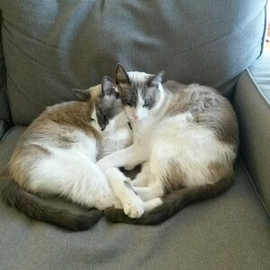 Fundraising Page: Steve Clemmons